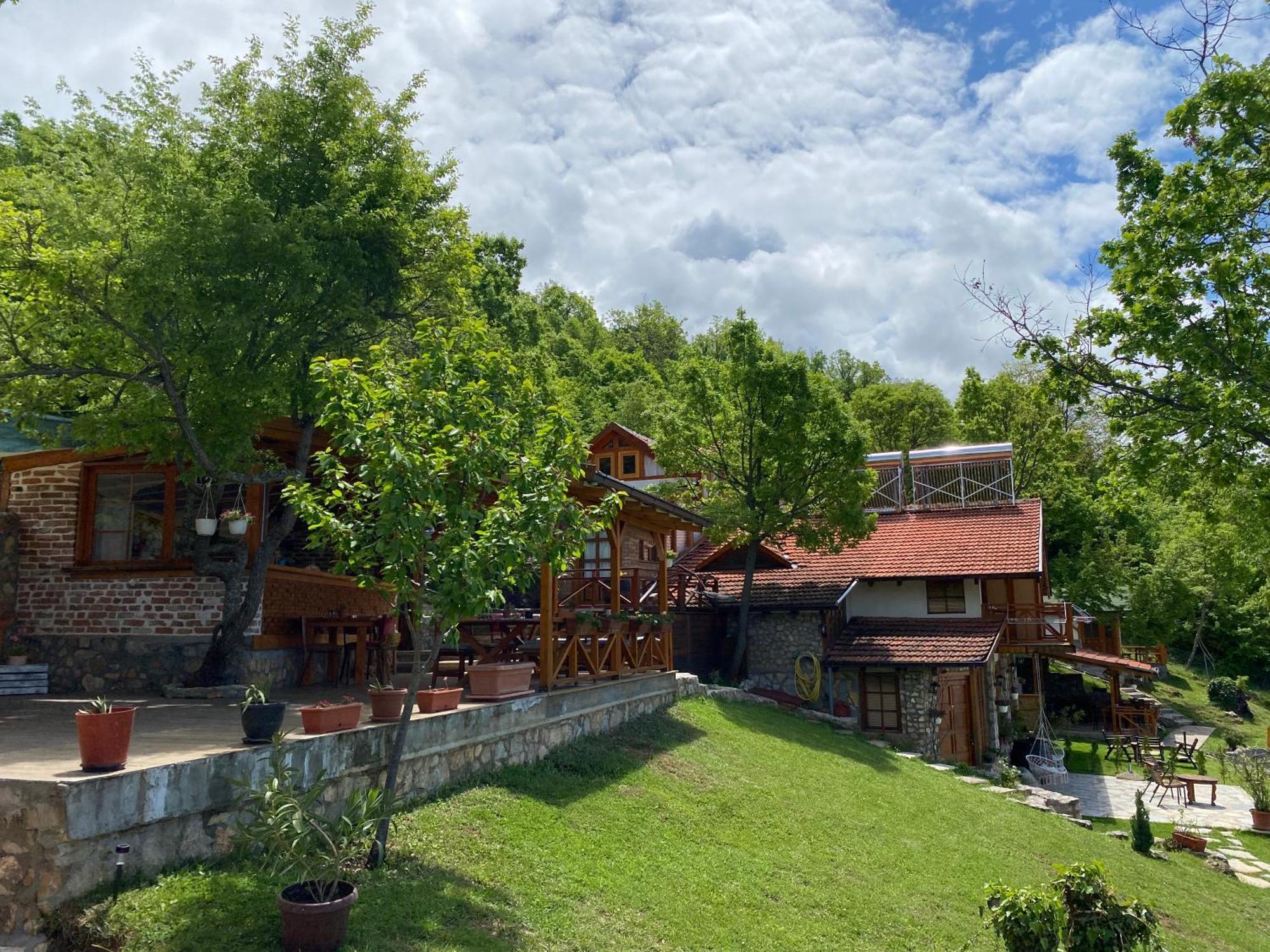 Paradise Nest Ohrid Kültér fotó